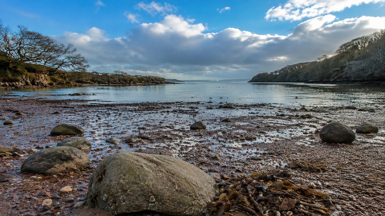 A boulder half buried in sandy mud on a sheltered shore, with wrack along the strandline and a wooded inlet behind.
