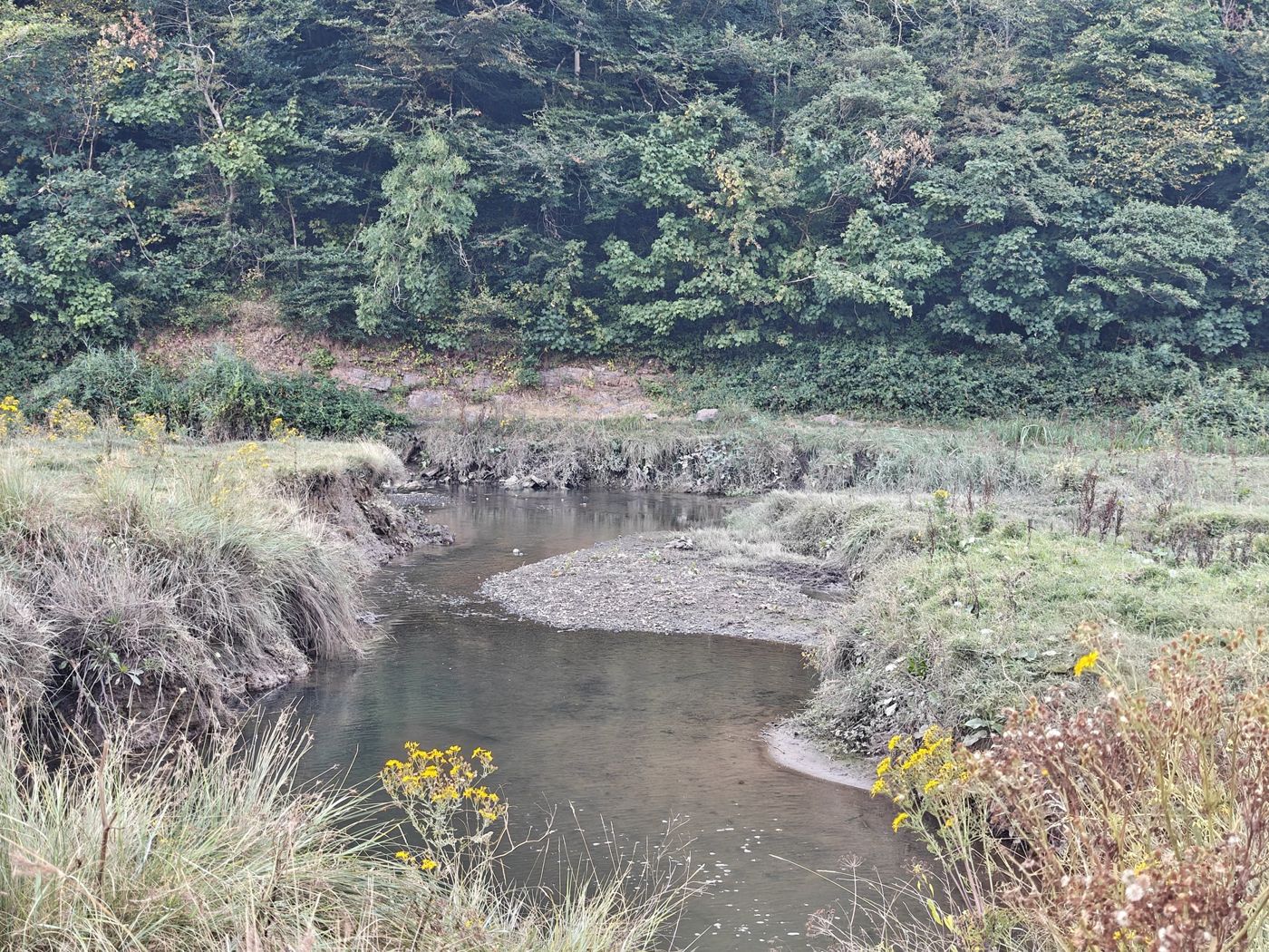 A meandering muddy channel with a gravel bar in the bend and eroded grassy banks.