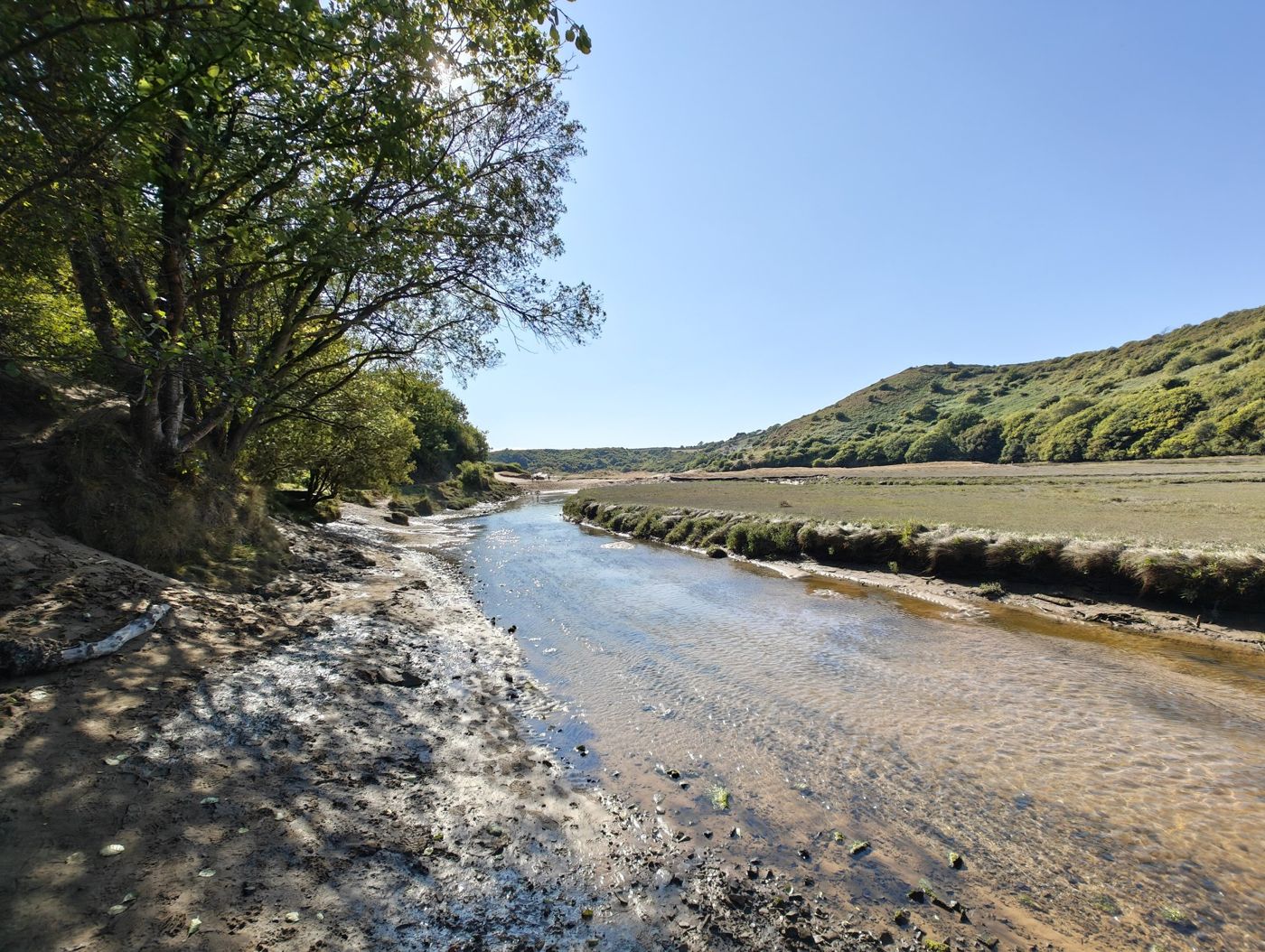 A shallow stream with a muddy, stony, shaded bank and saltmarsh opposite, looking toward dunes.